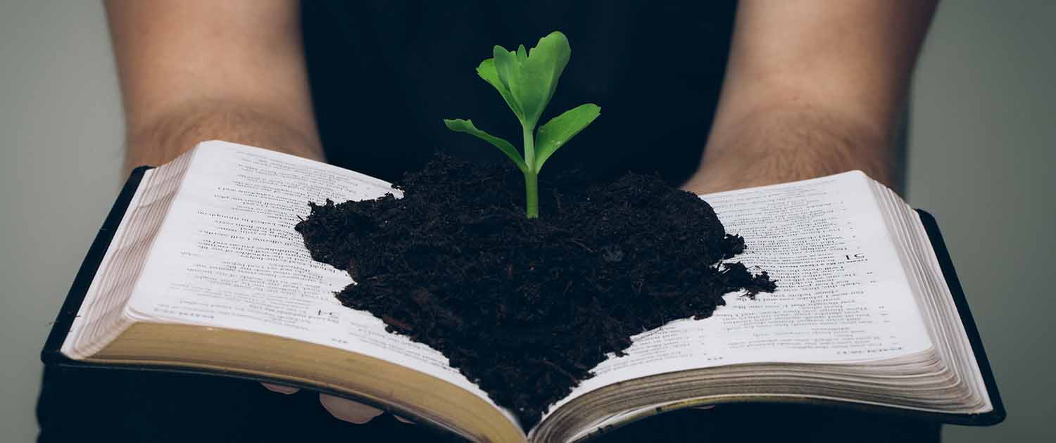 WHY SHOULD WE PLANT A CHURCH LEAD BIBLICALLY